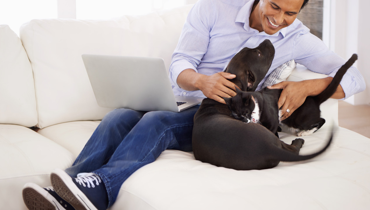 Hat man als Haustierbesitzer*in bessere Chancen beim Online-Dating?, Artikelbild
