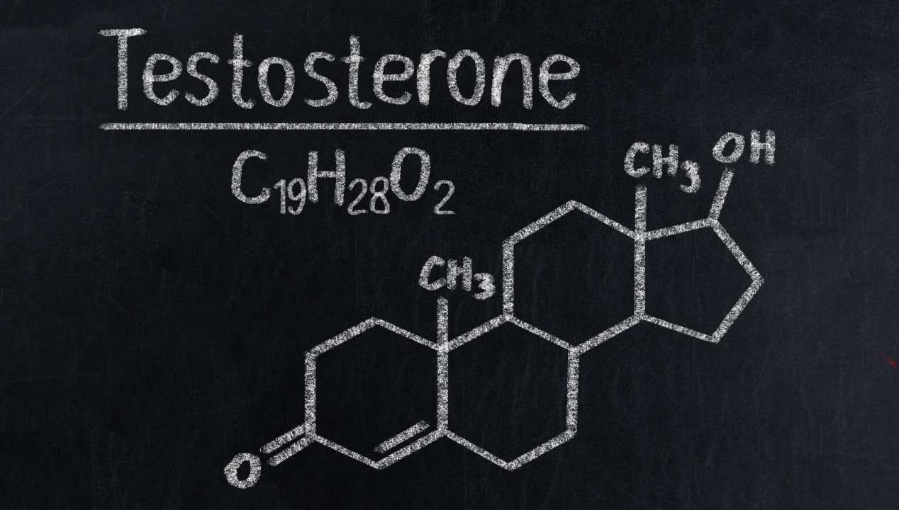 Testosteron, Artikelbild