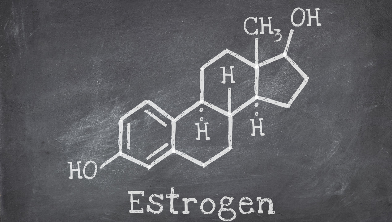 Estrogene / Östrogene, Artikelbild