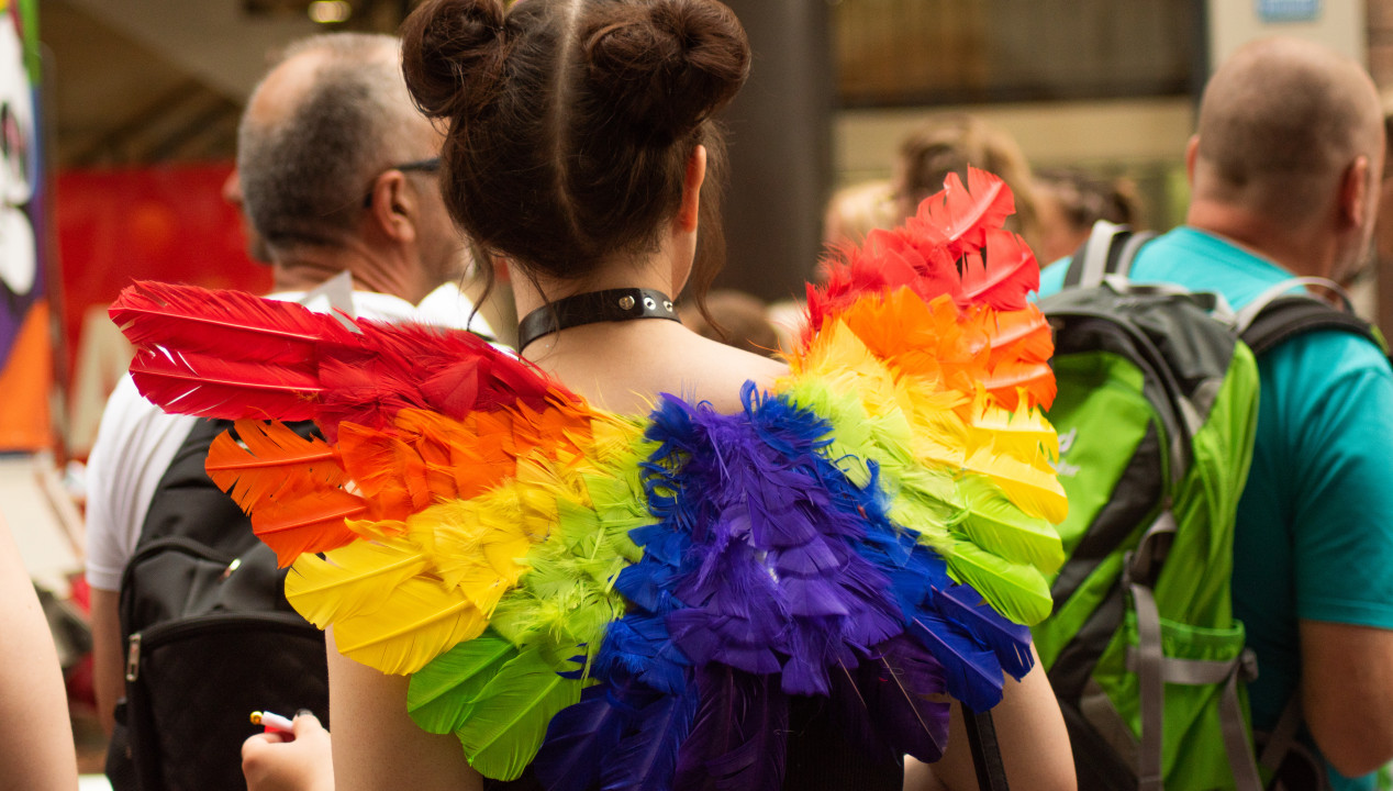 Christopher Street Day (CSD), Artikelbild