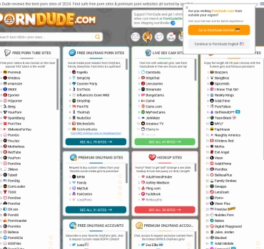 Theporndude.com, Artikelbild