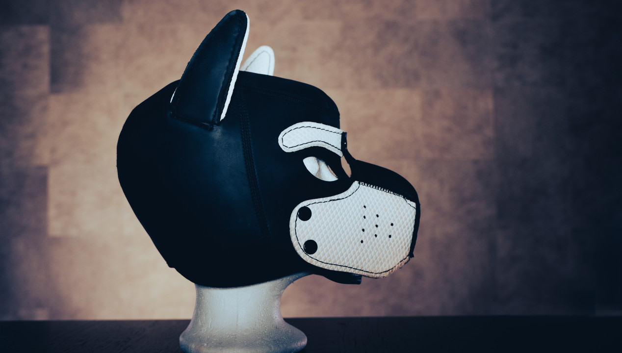 Maske fürs Dogplay Seitenansicht